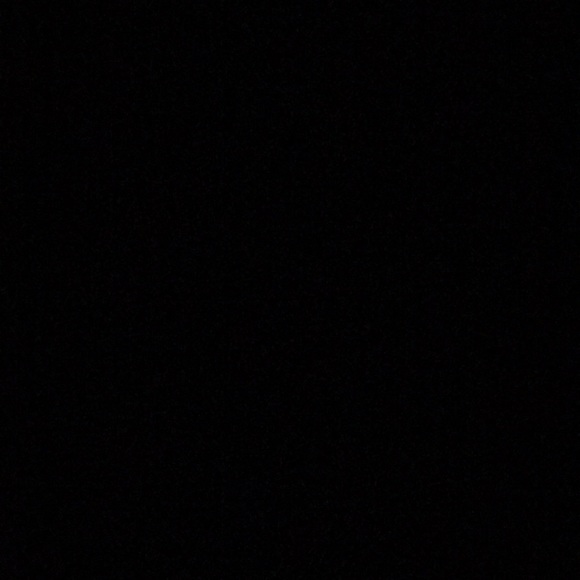 Meet your Posher, Lainie - Picture 1 of 1